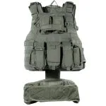 מרעום דולפין עמרן